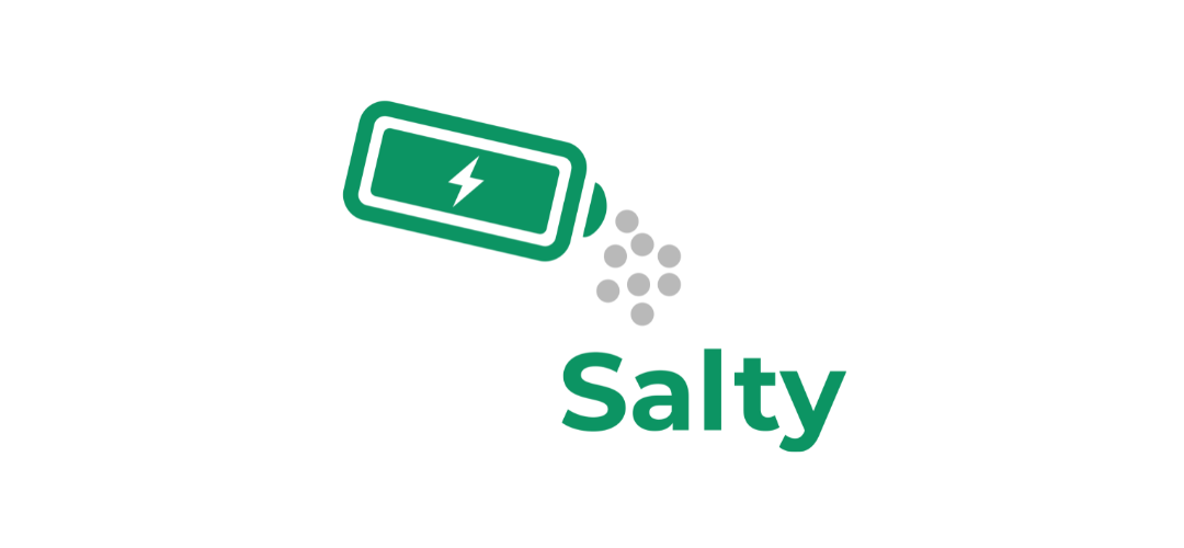 Salty logo