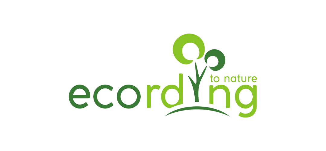 Ecording logo